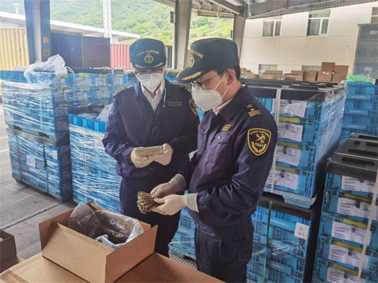 A külkereskedelem előmozdítása a stabilitás biztosítása és a minőség javítása érdekében Ningbo Vámhivatal 20 