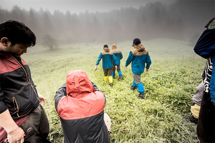 Mi az a SURVIVA Wilderness Survival?